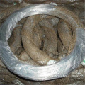 Direct Factory Selling Galvanized Wire/ Binding Wire Hot Dip Electro Galvanized Iron Wire